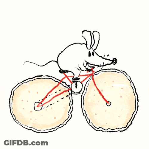 Mouse Cycle Animation GIF