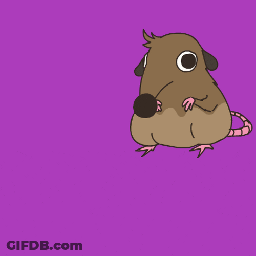 Mouse Got Blow Up Exploded GIF