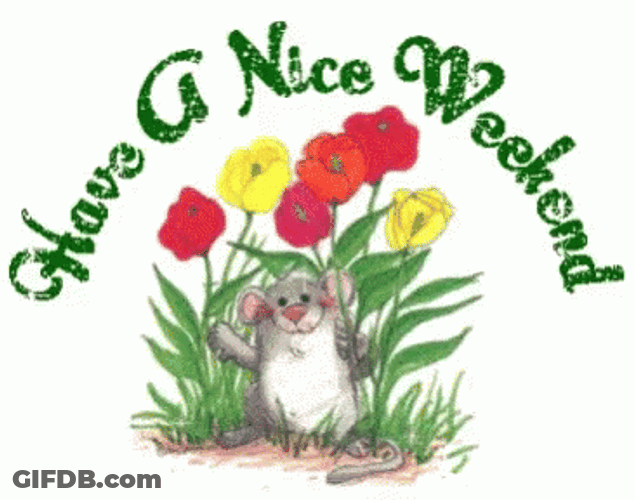 Mouse Have A Nice Weekend Greeting Sparkle GIF