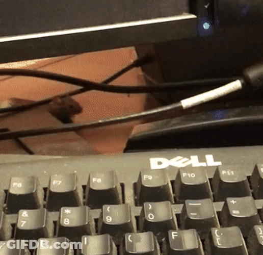 Mouse Hiding Under A Computer Screen GIF