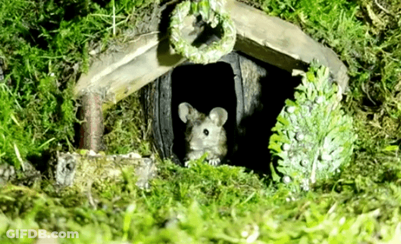 Mouse Hobbit Inspired Home GIF