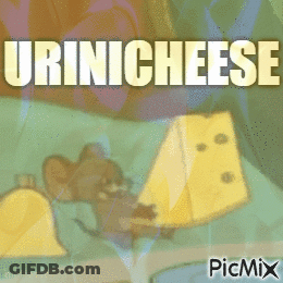 Mouse Holding Cheese Urini Cheese GIF