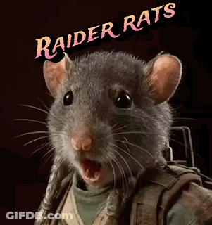 Mouse In Heart Mirror With Crazy GIF