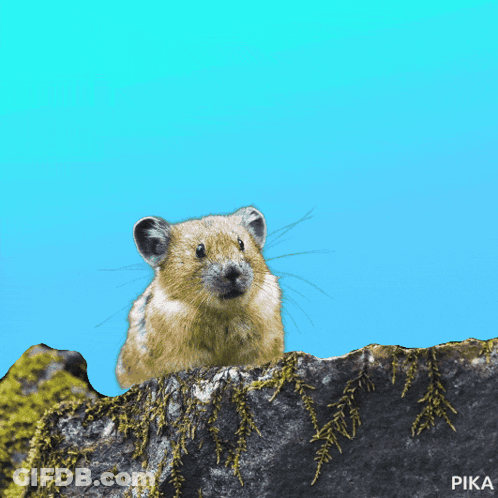 Mouse In Top Hat And Mustache Saying Trust Me Bro Im A Doctor GIF