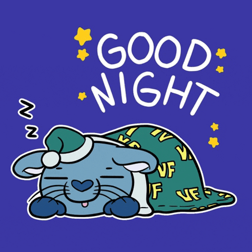 Mouse Is Sleeping Beautiful Good Night GIF
