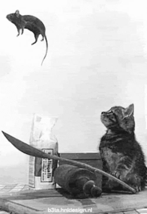 Mouse Jumping Over A Spoon GIF