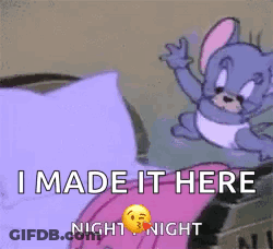 Mouse On Bed Saying I Made It Here Night Night GIF