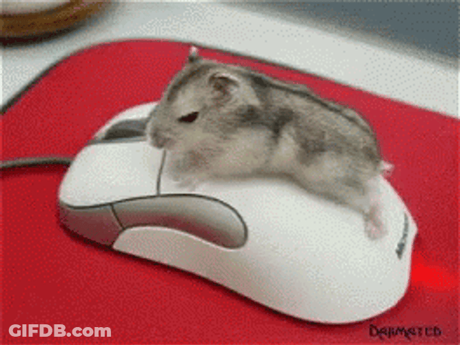Mouse Playing Over A Computer Mouse GIF