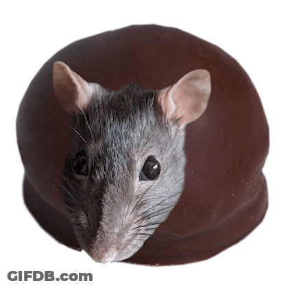 Mouse Sitting On Chocolate Ball GIF
