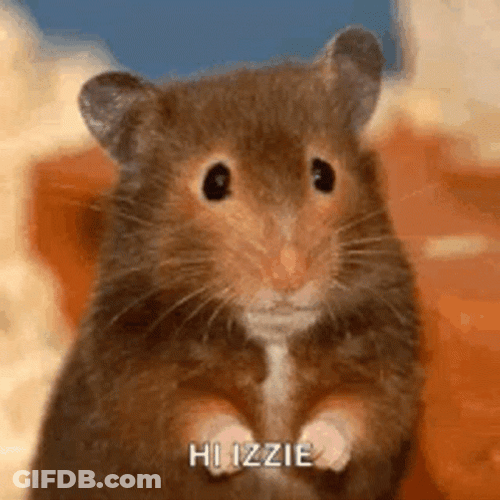 Mouse Waving Hi To Izzy GIF
