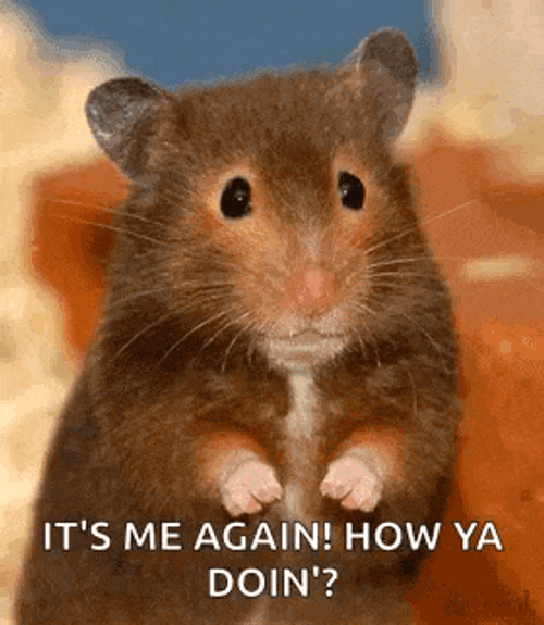 Mouse Wiggle GIF