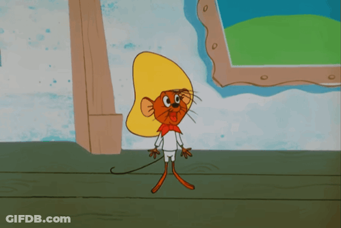Mouse With Sombrero Saying Arriba Arriba GIF