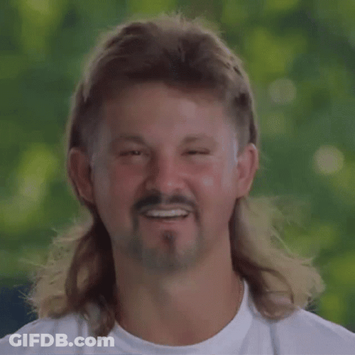 Moustache Guy Waving Mullet Hair GIF