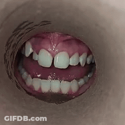 Mouth Showing Teeth GIF