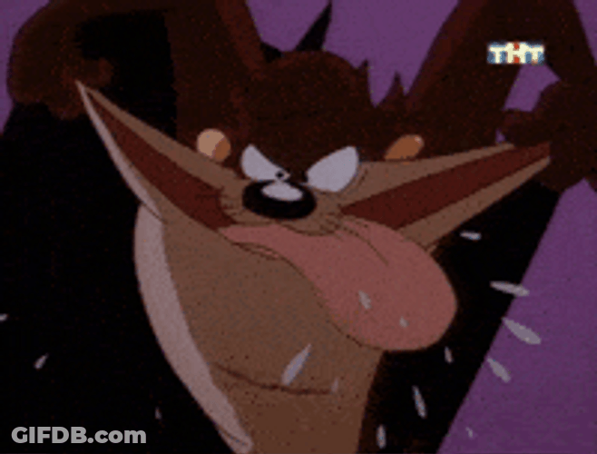 Mouth Wide Open Tasmanian Devil GIF