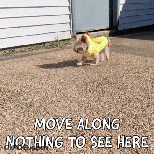 Move Along GIF