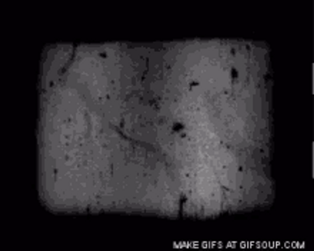 Movie Film Vintage Countdown Clock GIF