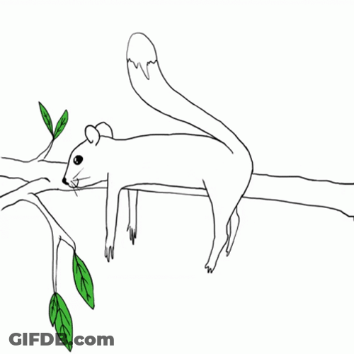 Moviing Sketch Of A Squirrel GIF