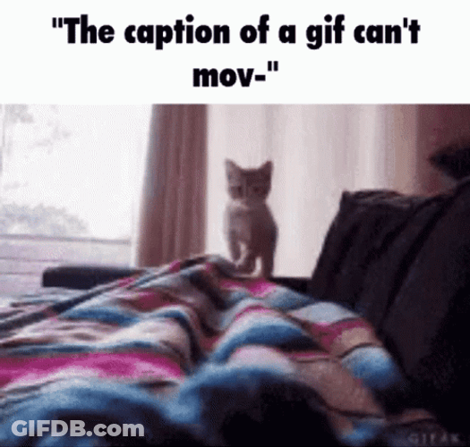 Moving Caption Cat Jump Meme GIF