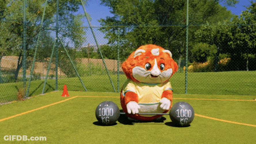 Moving Cat Dumbbell GIF