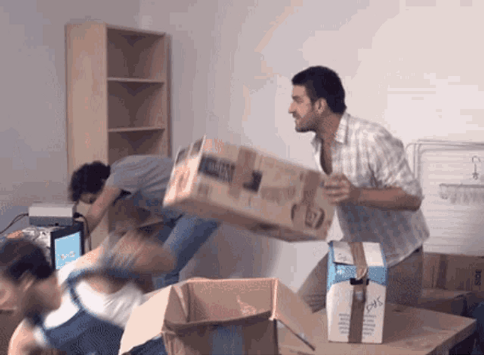 Moving Day Palmashow GIF