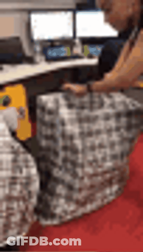 Moving Day Storage Bag GIF