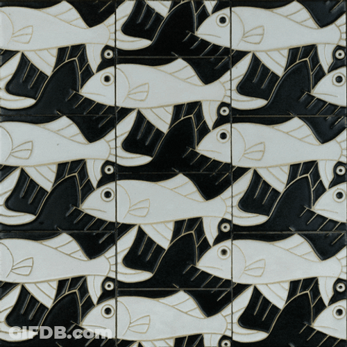 Moving Fishes Optical Illusion GIF