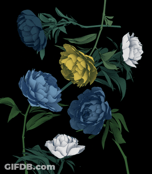 Moving Floral Flowers In The Night GIF