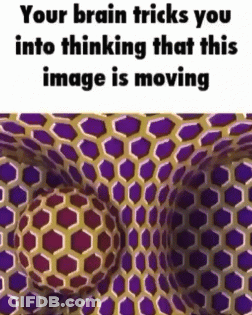 Moving Purple Hive Optical Illusions GIF