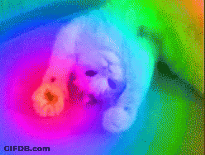 Moving Rainbow Cat GIF