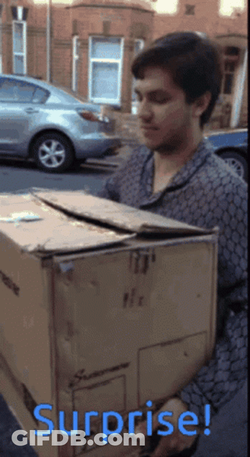 Moving The Upsiders Surprise GIF