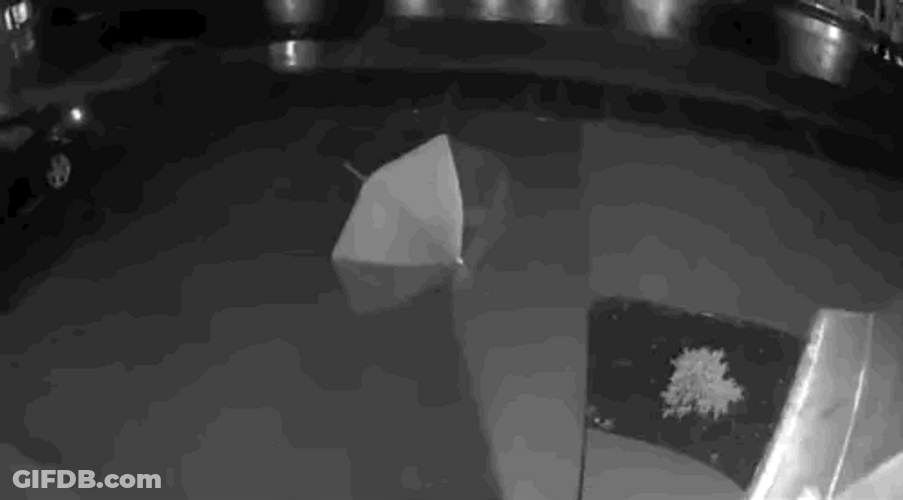 Moving Umbrella Seen On CCTV GIF