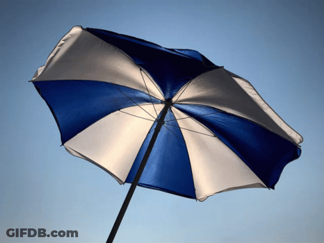 Moving Umbrella Windy Beach GIF