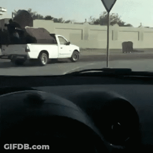 Moving Vehicle Accidental Fall GIF
