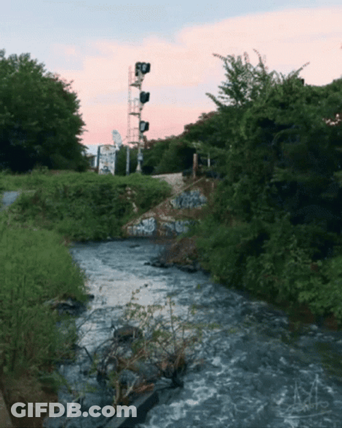 Moving Water By The Grass GIF