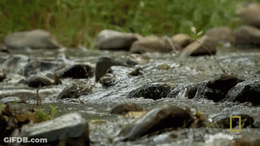 Moving Water By The Rocks GIF