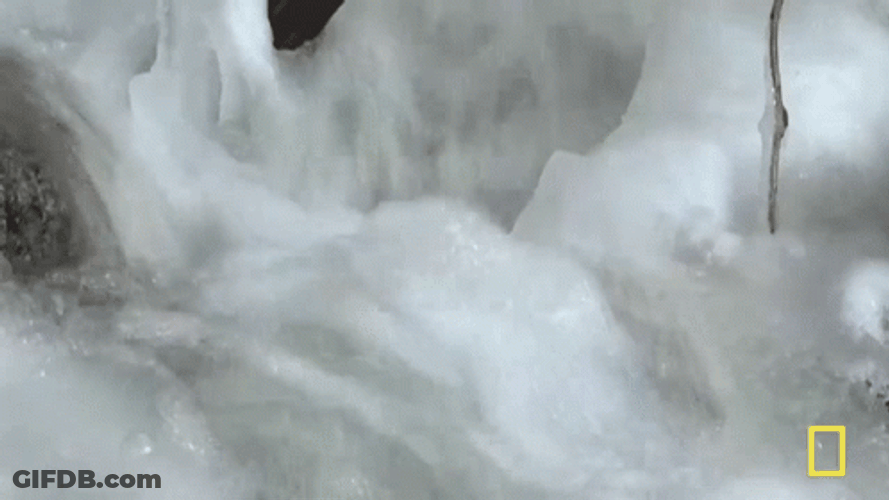 Moving Water Foamy Slushy GIF