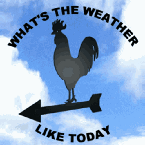 Moving Weather Vane GIF