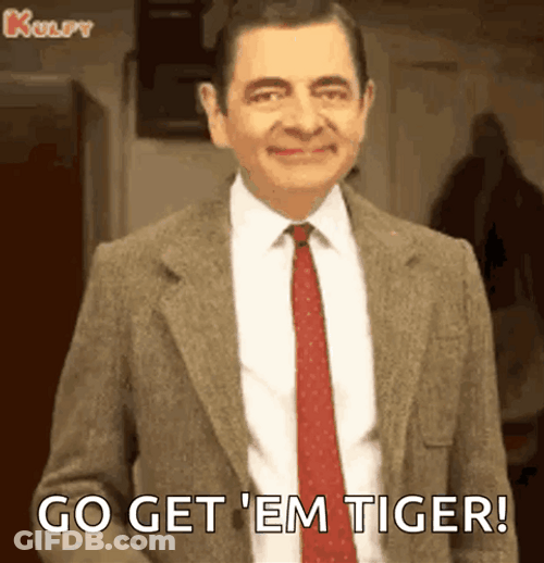 Mr Bean Go Get Em GIF
