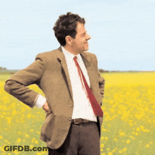 Mr Bean Mrbean GIF