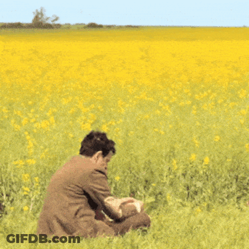 Mr Bean Mrbean GIF