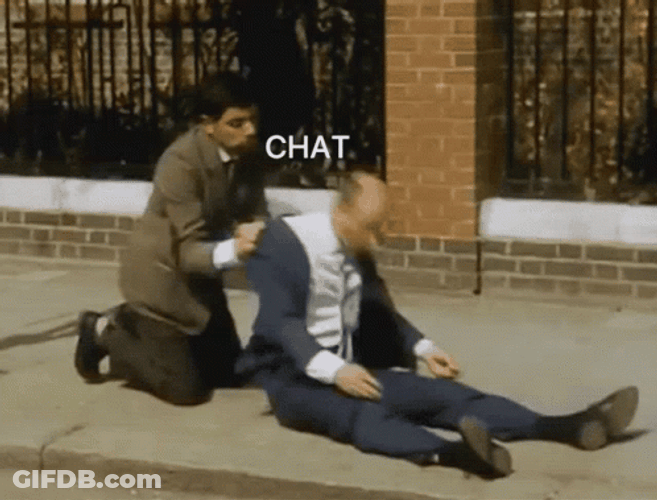 Mr. Bean Reviving Chat GIF