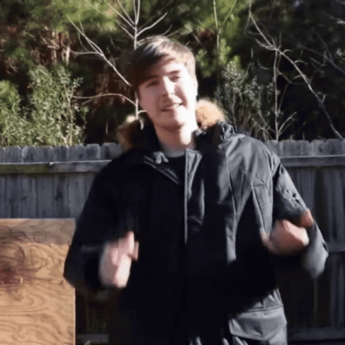 Mr Beast Dab Meme GIF