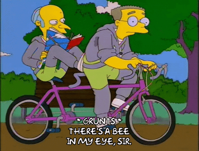 Mr. Burns Reading Book On Bike GIF