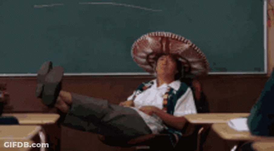 Mr. Chow Will Download It GIF