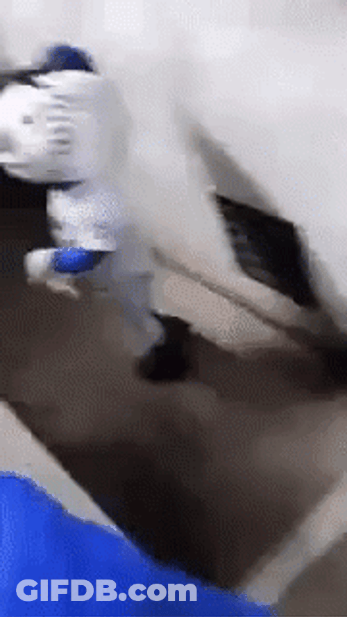 Mr Met Exiting GIF