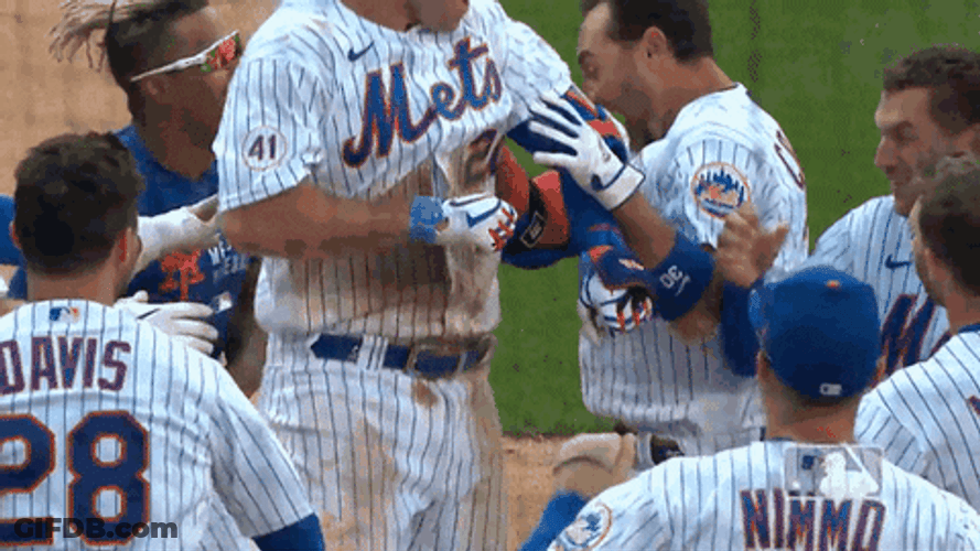 Mr Met Players Celebrating GIF
