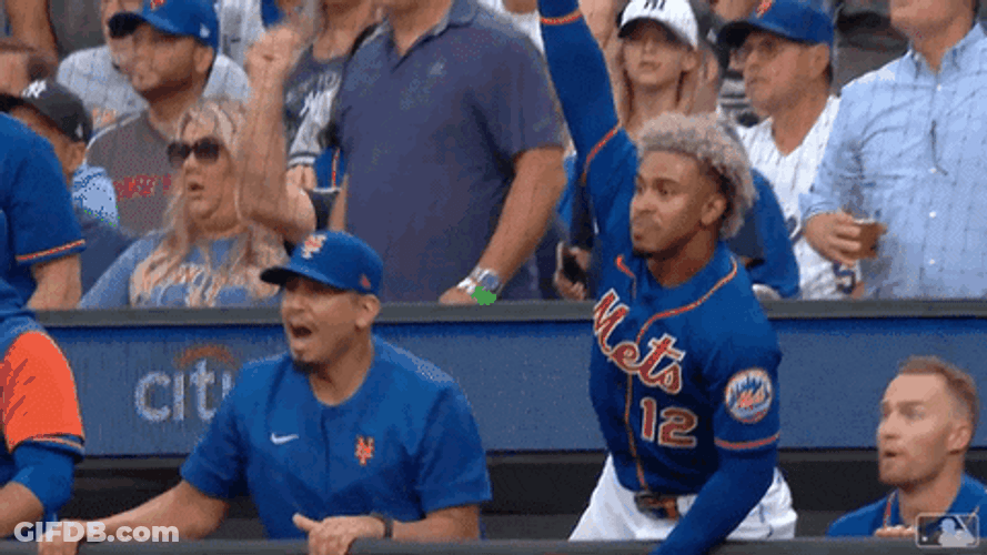 Mr Met Shouting Players GIF