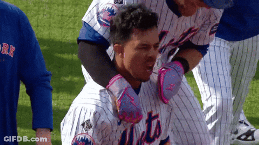 Mr Met Winning Team GIF