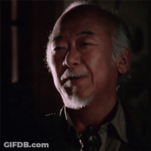 Mr Miyagi Karate Kid Good Decision GIF